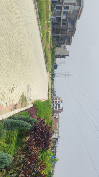 3 BHK Flat for Sale in Sector 115 Mohali