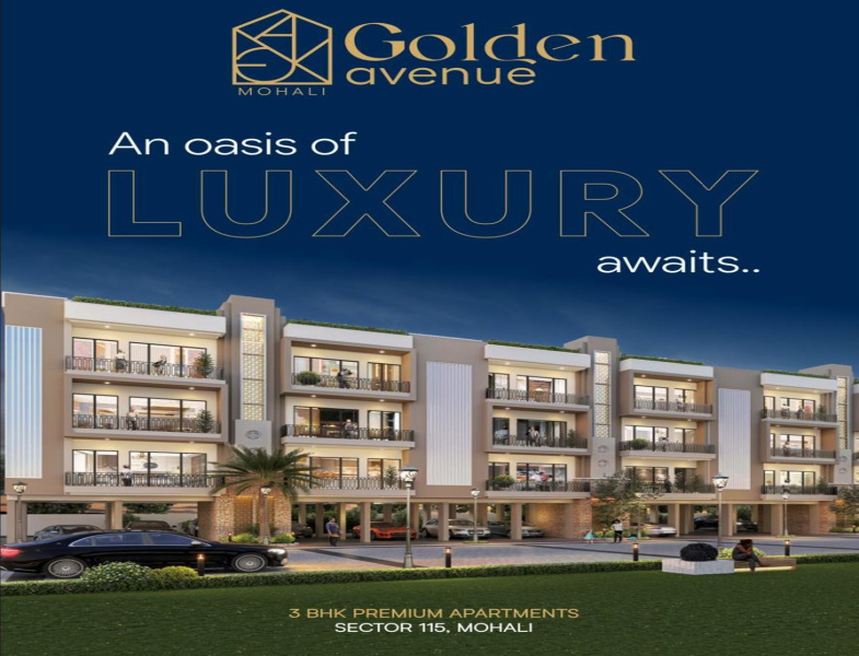 3 BHK Apartment 1500 Sq. Yards for Sale in Sector 115 Mohali
