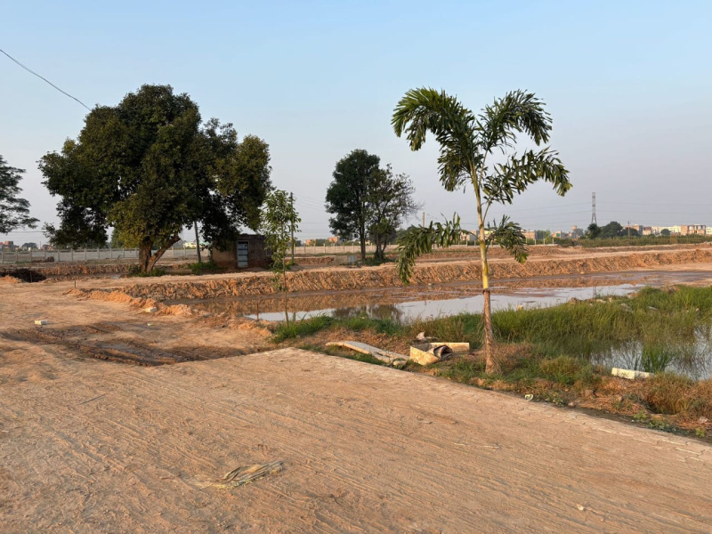  Residential Plot 100 Sq. Yards for Sale in Khanpur, Kharar, Mohali
