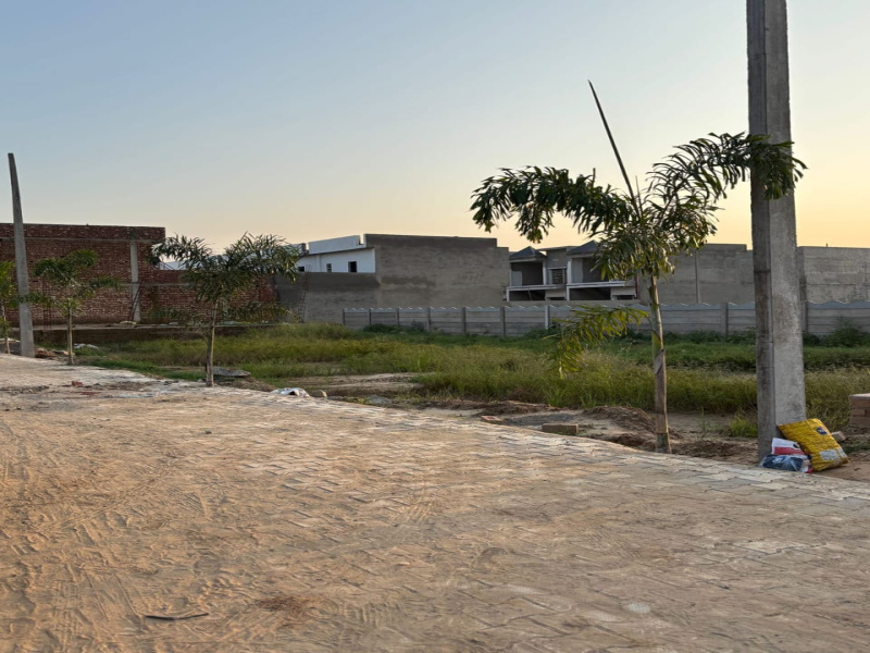  Residential Plot 100 Sq. Yards for Sale in Khanpur, Kharar, Mohali