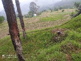  Residential Plot for Sale in Ranikhet, Almora