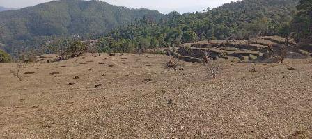  Agricultural Land for Sale in Ranikhet, Almora