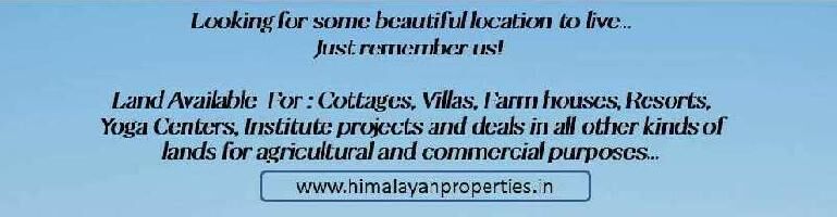  Residential Plot for Sale in Pangot, Nainital