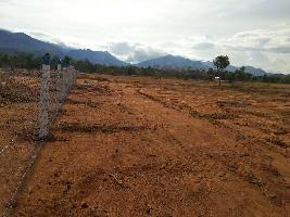 Agricultural Land for Sale in Vikramasingapuram, Tirunelveli
