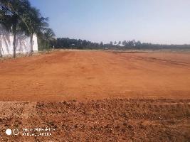  Agricultural Land for Sale in Annur, Coimbatore
