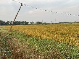  Agricultural Land for Sale in Sadasivpet, Sangareddy