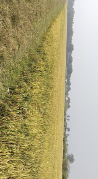  Agricultural Land for Sale in Madambakkam, Chennai
