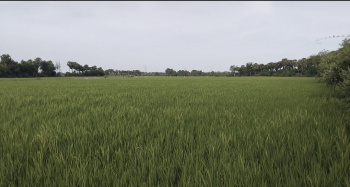  Agricultural Land for Sale in Puliyur, Karur