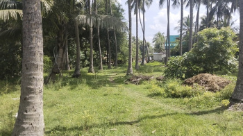  Agricultural Land for Sale in Kalpakkam To Vandalur Road, Chennai