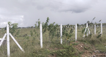  Commercial Land for Sale in Madurantakam, Chennai
