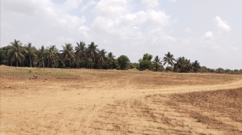  Agricultural Land for Sale in Kulathur, Chennai