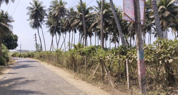  Commercial Land for Sale in Koovathur, Kanchipuram