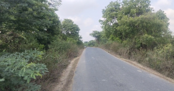  Agricultural Land for Sale in Tindivanam, Chennai