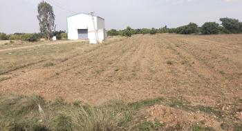  Agricultural Land for Sale in Marakkanam, Villupuram