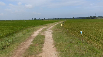  Agricultural Land for Sale in Pudupattinam, Chengalpattu