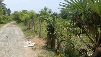  Residential Plot for Sale in Cheyyur, Chengalpattu