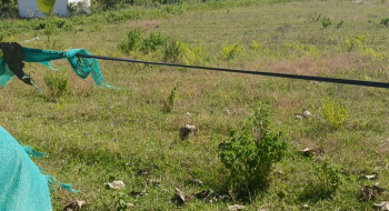  Agricultural Land for Sale in Cheyyur, Chengalpattu
