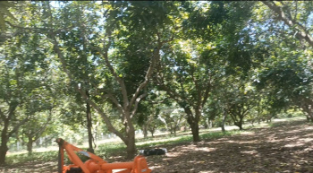 Agricultural Land for Sale in Cheyyur, Chengalpattu