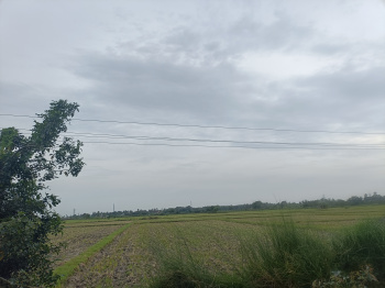  Agricultural Land for Sale in Cheyyur, Chengalpattu