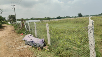 Agricultural Land for Sale in Tirukalukundram, Chengalpattu