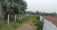  Agricultural Land for Sale in Pulipakkam, Chengalpattu