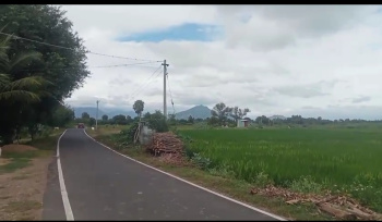  Agricultural Land for Sale in Adi Annamalai, Tiruvannamalai