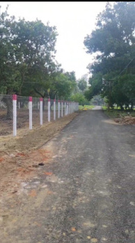 Agricultural Land for Sale in Edaikazhinadu, Kanchipuram