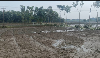 Agricultural Land for Sale in Maduranthakam, Chengalpattu