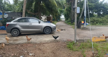  Agricultural Land for Sale in Koovathur, Kanchipuram