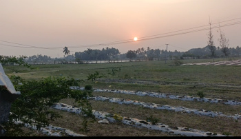  Agricultural Land for Sale in East Pondy Road, Villupuram