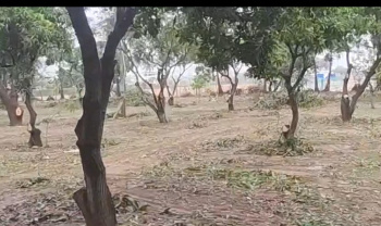 Agricultural Land for Sale in Kalpakkam, Kanchipuram