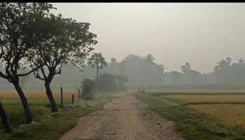  Agricultural Land for Sale in Cheyyur, Chengalpattu