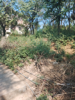  Residential Plot for Sale in NH21, Bilaspur