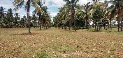  Agricultural Land for Sale in Hosdurga, Chitradurga