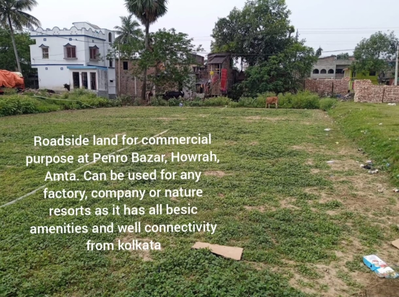  14 Katha Agricultural/Farm Land for Sale in Amta Road, Howrah