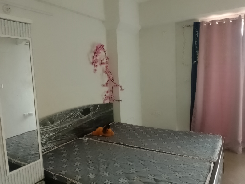 1 BHK 700 Sq.ft. Apartment for Sale in Sector 106 Gurgaon