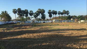  Residential Plot for Sale in Cheyyar, Kanchipuram