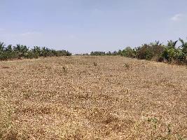  Agricultural Land for Rent in Sulur, Coimbatore