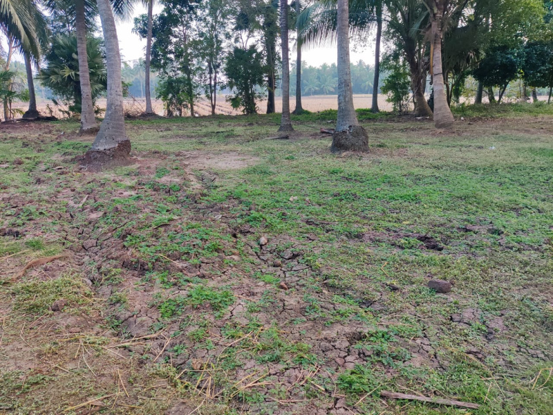  Residential Plot 1 Cent for Sale in P.Gannavaram, East Godavari