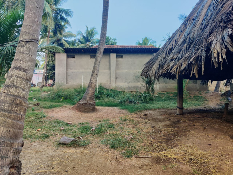  Residential Plot 1 Cent for Sale in P.Gannavaram, East Godavari