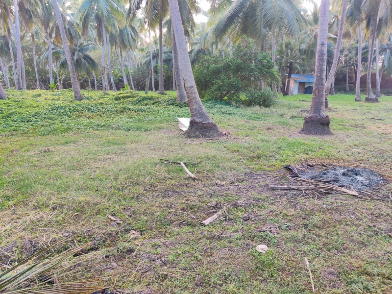  Residential Plot 1 Cent for Sale in P.Gannavaram, East Godavari