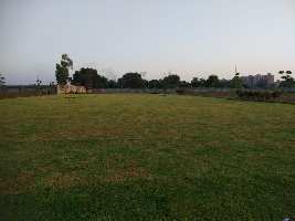  Residential Plot for Sale in Sohna, Gurgaon