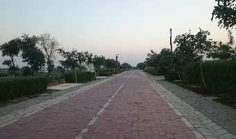  Residential Plot for Sale in Sector 14 Gurgaon
