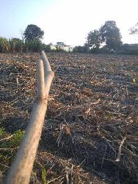  Agricultural Land for Sale in Majri Grant, Rishikesh