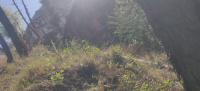  Residential Plot for Sale in Deoghat, Solan