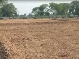 Agricultural Land for Sale in Kharak Kalan, Bhiwani