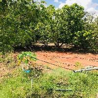  Agricultural Land for Sale in Thindivanam, Chennai