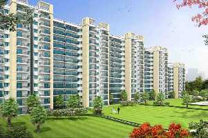 2 BHK Flat for Rent in Sector 102 Gurgaon