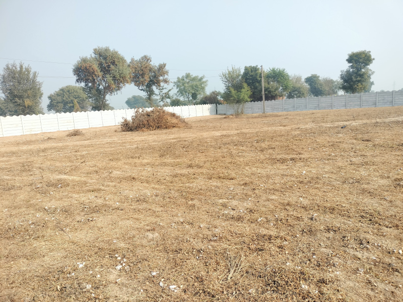  Residential Plot 100 Sq. Yards for Sale in Sector 6, Rewari