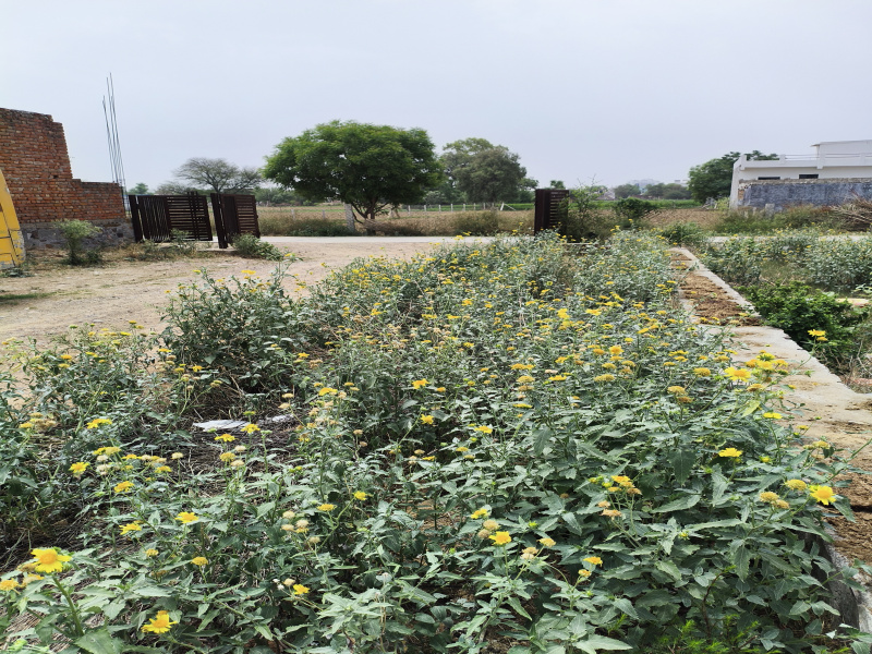  Residential Plot 150 Sq. Yards for Sale in Japanese Zone, Neemrana, Alwar